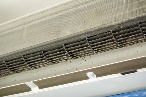 Best Air Duct Sanitizing Services  in King, WI
